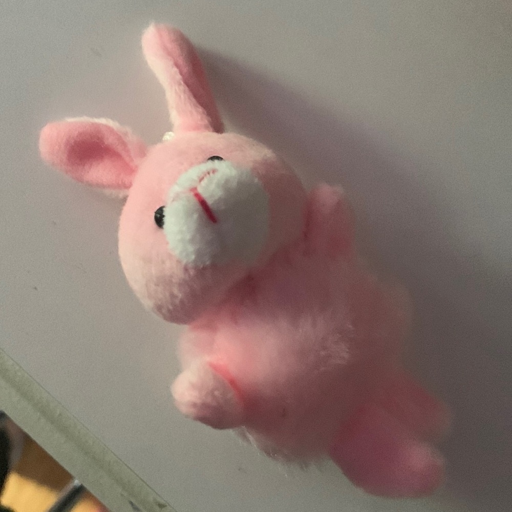 A cute little pink bunny that may be small but is really adorable